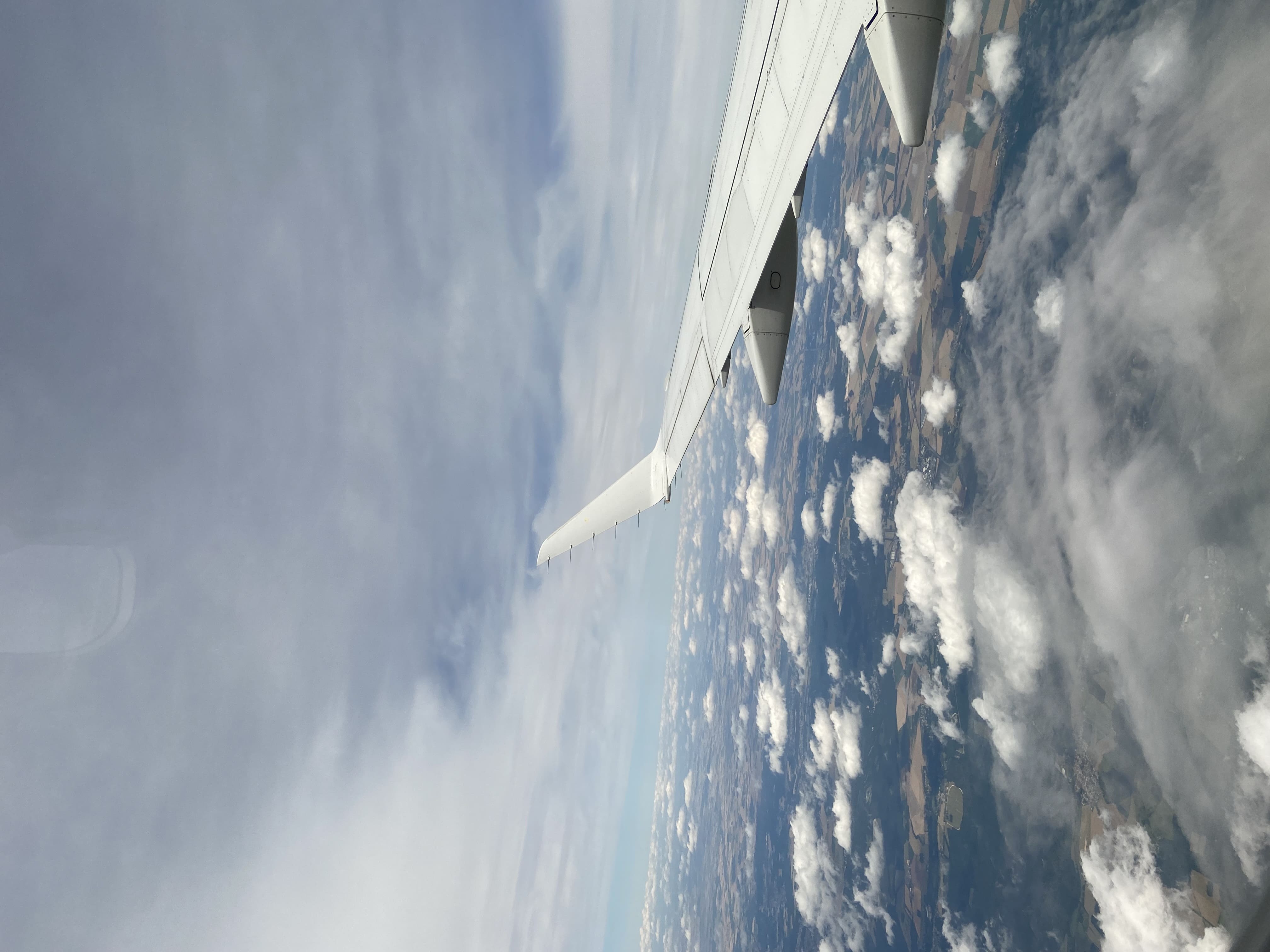 landscape from plane's window