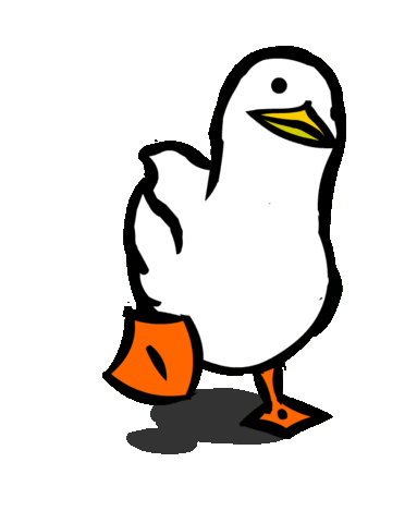 bird gif