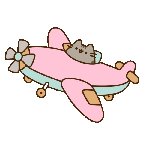 plane gif