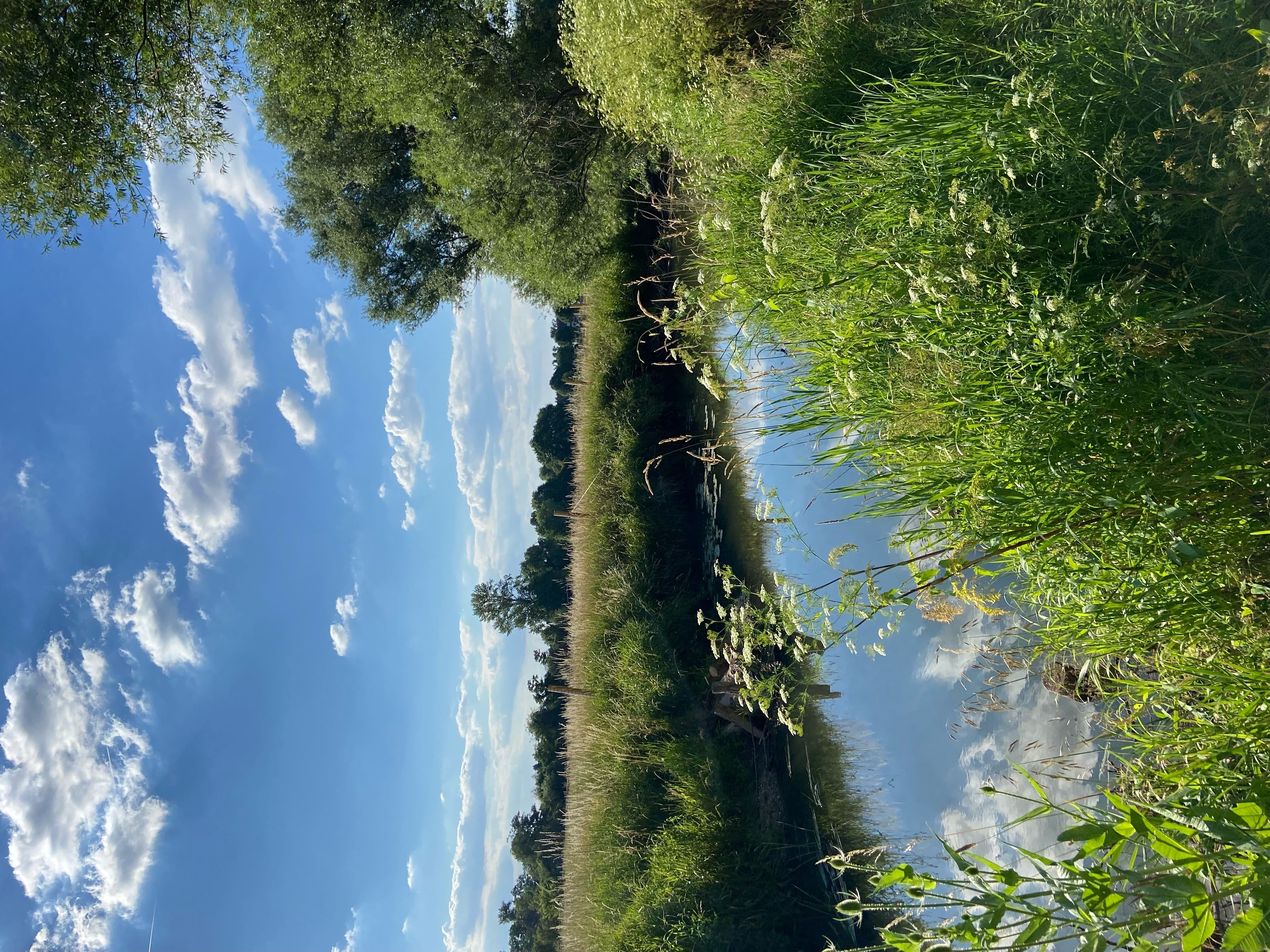 great view 2