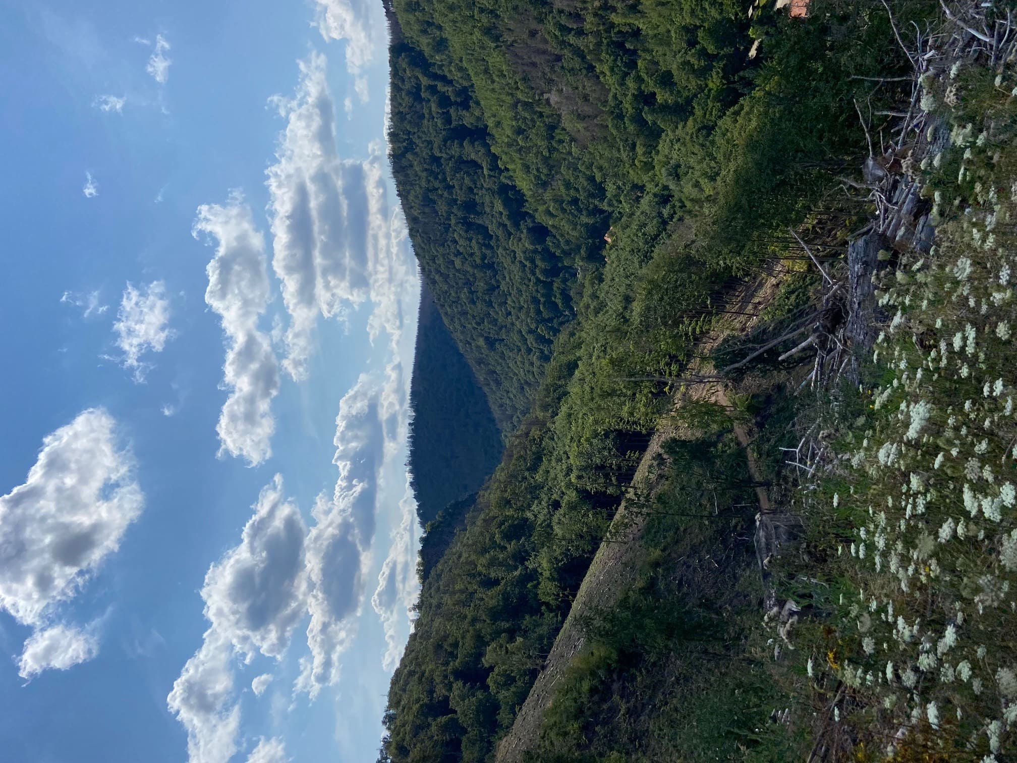 image_extend